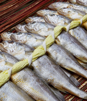 하늘네굴비 가정용1.1kg내외 40미 배송비포함가