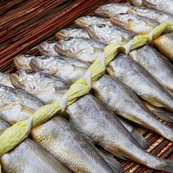 하늘네굴비 가정용1.1kg내외 40미 배송비포함가