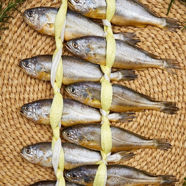 하늘네굴비 선물용 실속굴비 2.0kg 20미 배송비포함가