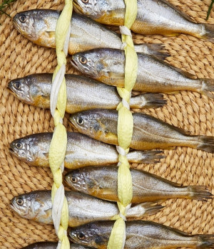 하늘네굴비 선물용 실속굴비 2.0kg 20미 배송비포함가